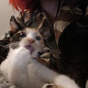 Meet your Posher, Bernadette ranae